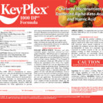 KeyPlex 1000 DP