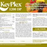 KeyPlex 1200 DP