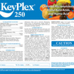 KeyPlex 250
