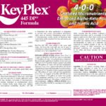 KeyPlex 445 DP