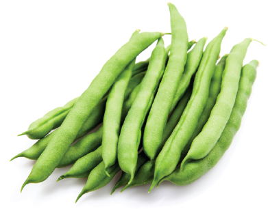 beans-image