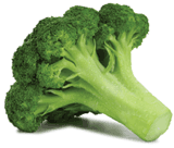 broccoli160