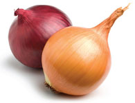 onions150