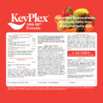 KeyPlex 1000DP