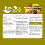 KeyPlex 1200DP