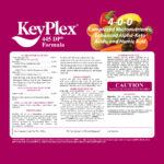 KeyPlex 445DP