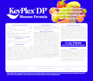 thumbnail of KP-BlossomDP FL