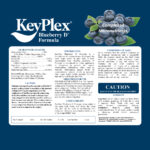 KeyPlex Blueberry D (CA Only)