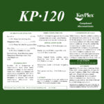 KeyPlex 120