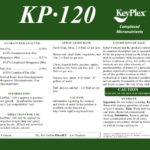 KeyPlex 120
