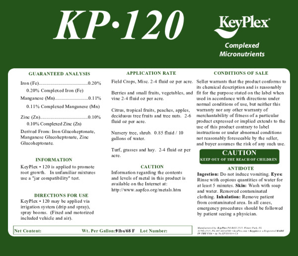 thumbnail of KP 120pdf